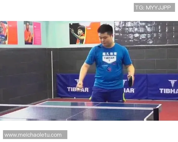 广州乒乓球队快攻战术分析与比赛表现的得失启示