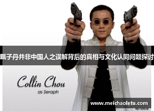 甄子丹并非中国人之误解背后的真相与文化认同问题探讨