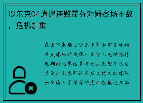 沙尔克04遭遇连败霍芬海姆客场不敌，危机加重